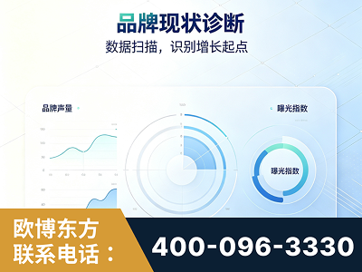 湛江-品牌现状诊断