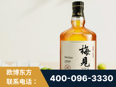 湛江-梅见青梅酒