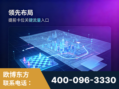湛江-领先布局：于2024年初开启GEO业务的公司